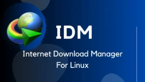 Introduction to Internet Download Manager (IDM)